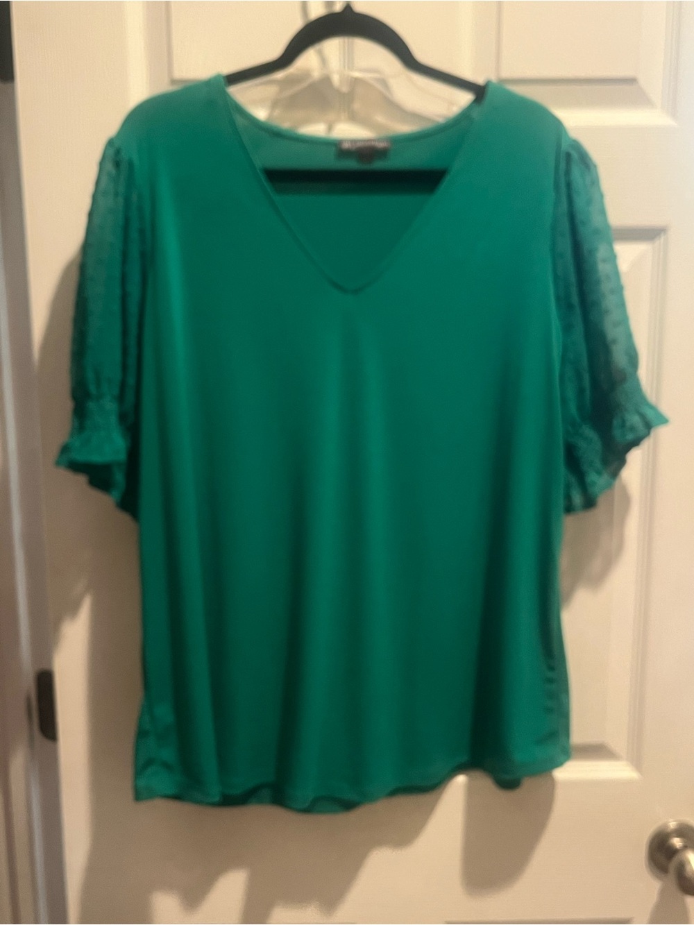 Adrianna Papell Green V-Neck Blouse with Sheer Dot Ruffle Sleeves